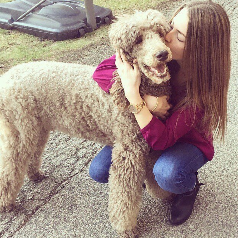 Meet your Posher, Emma